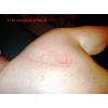 th_KIF_0193.jpg 2.2K